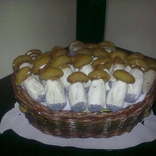 Dubáčiky mojej sestry Milky